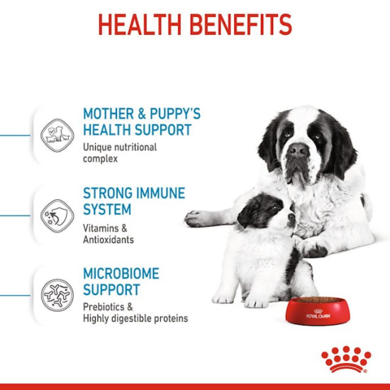 Royal Canin Giant Starter Mother & Babydog – Hrană Uscată pentru Cățele Gestante/în Lactație și Pui de Câine de Talie Gigantă – 15 kg